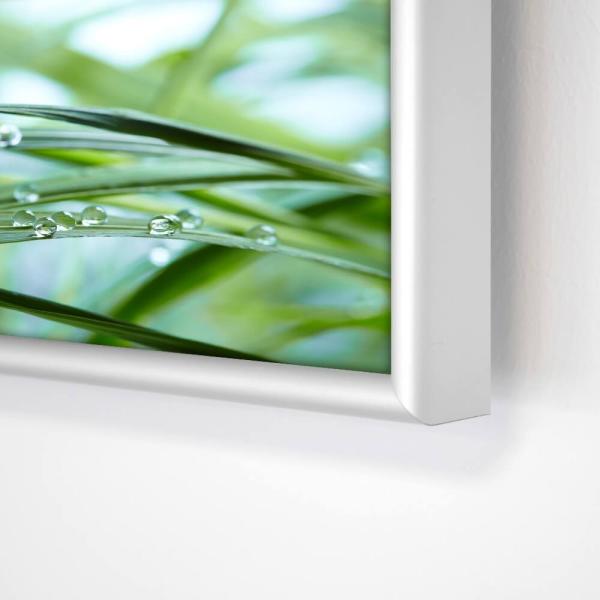 Infrarotbildheizung Panora 400 Watt